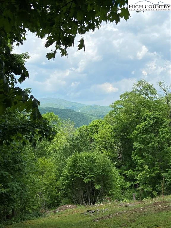 Image number 1 for the current listing
