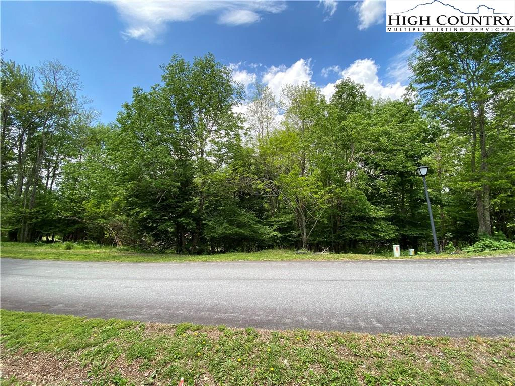 Image number 3 for the current listing