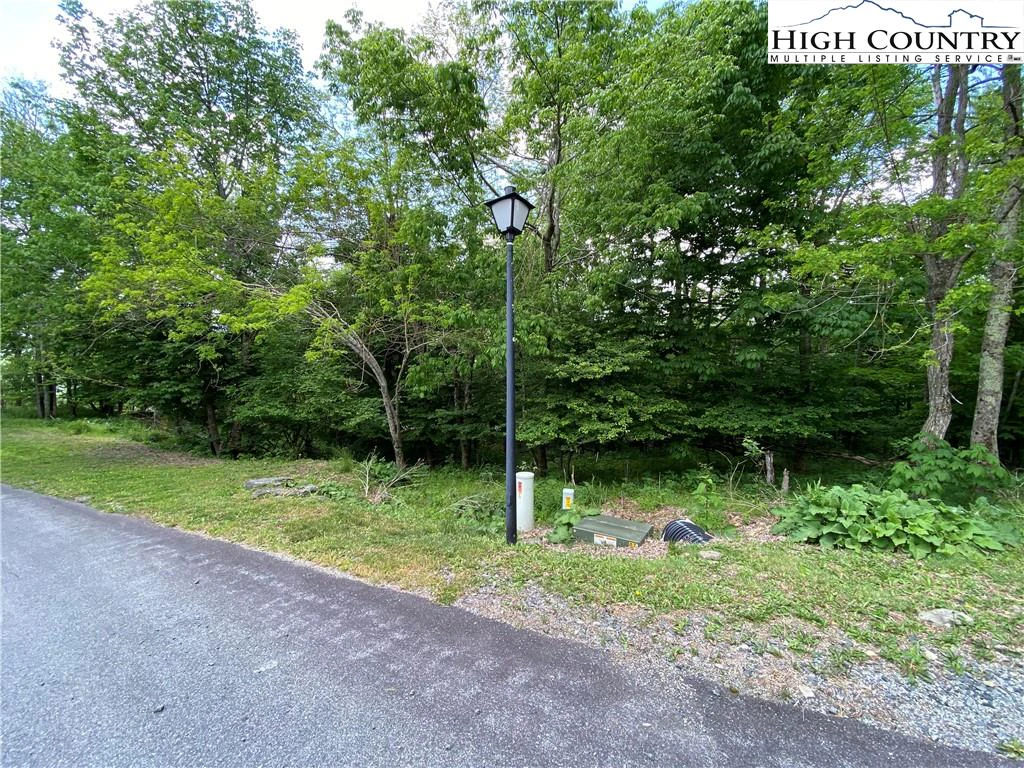 Image number 7 for the current listing