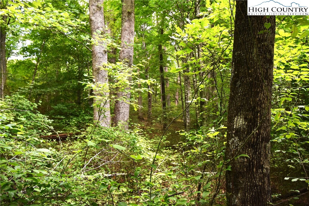 Image number 4 for the current listing