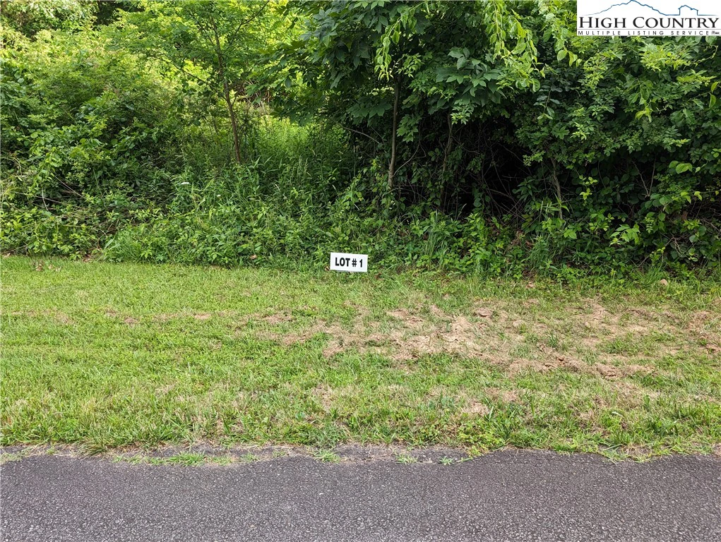 Image number 1 for the current listing