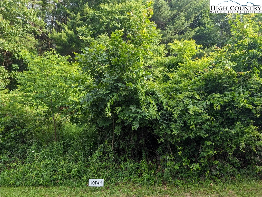 Image number 3 for the current listing