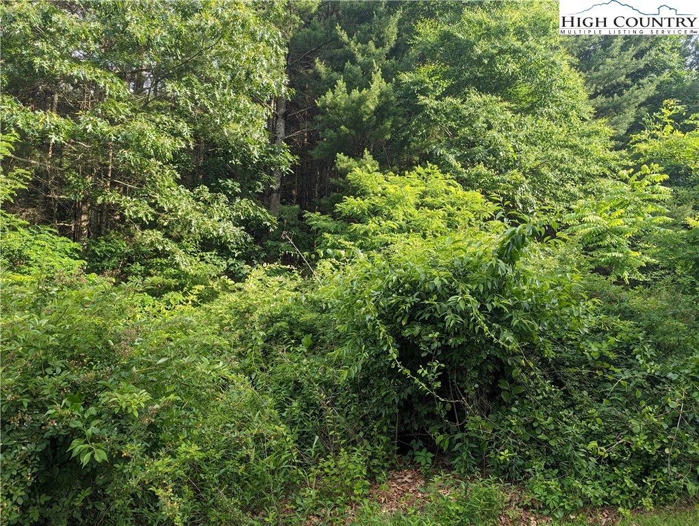 Image number 4 for the current listing