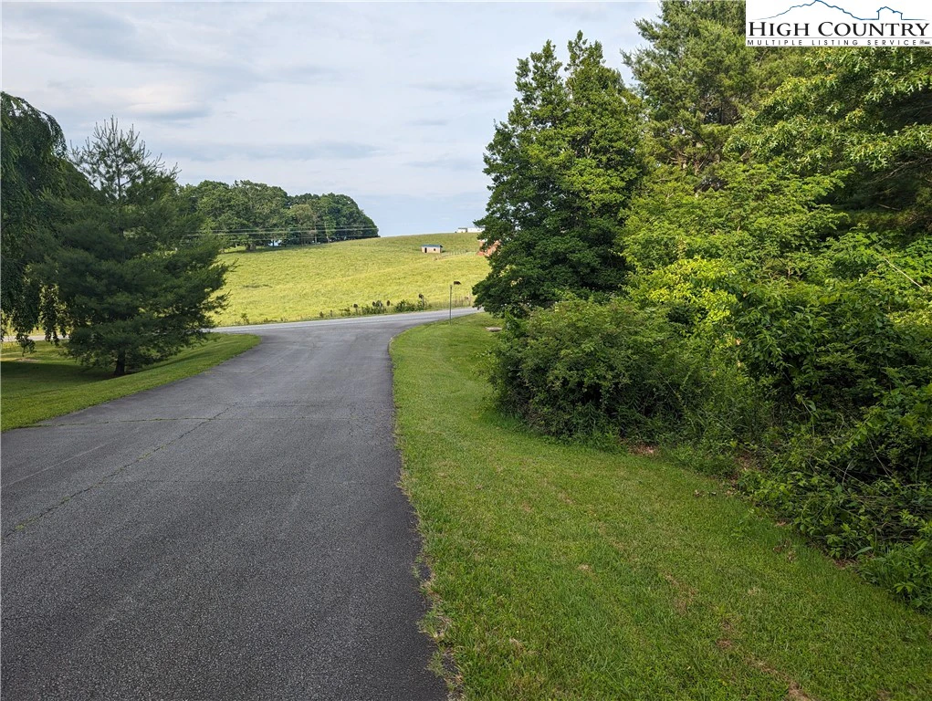 Image number 5 for the current listing