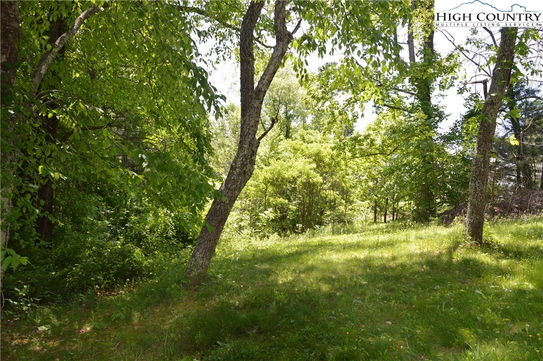 Image number 9 for the current listing