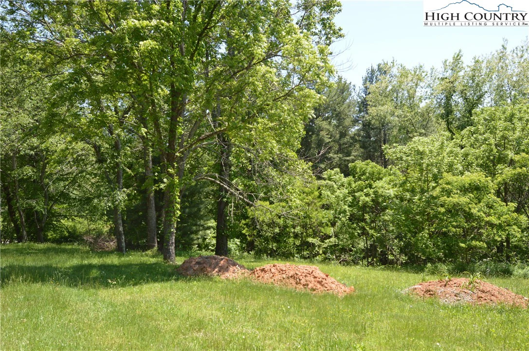 Image number 8 for the current listing