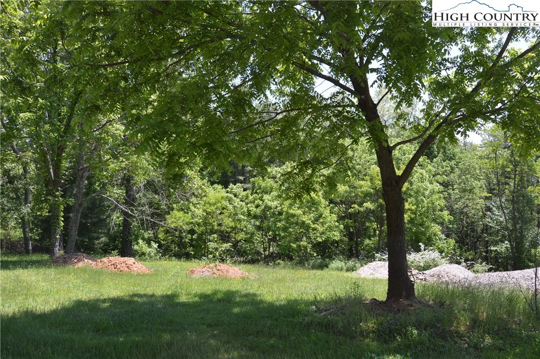 Image number 12 for the current listing