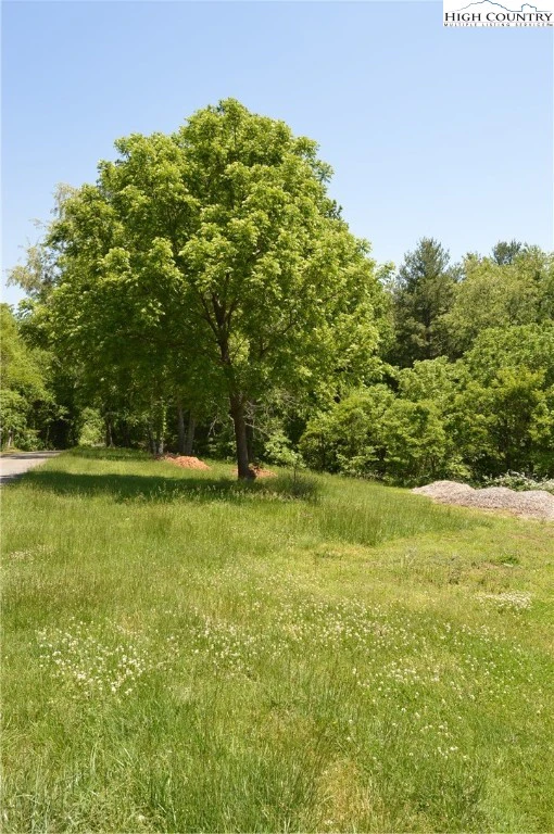 Image number 13 for the current listing