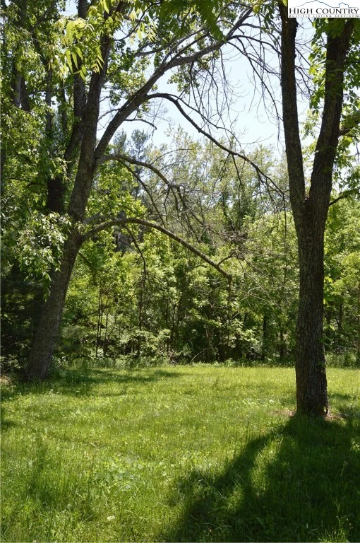 Image number 1 for the current listing