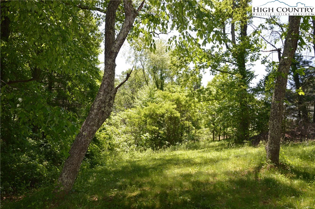 Image number 6 for the current listing