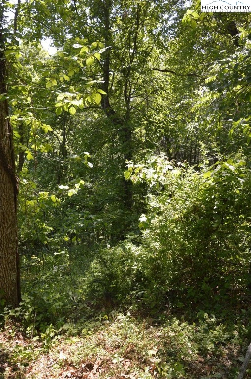Image number 4 for the current listing