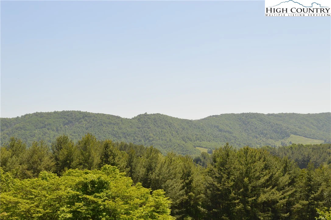 Image number 7 for the current listing