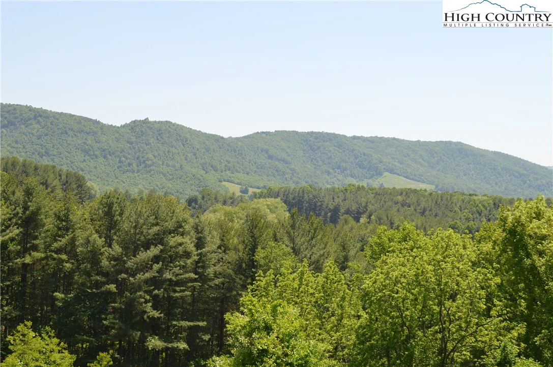 Image number 3 for the current listing