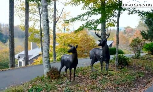 Image number 5 for the current listing