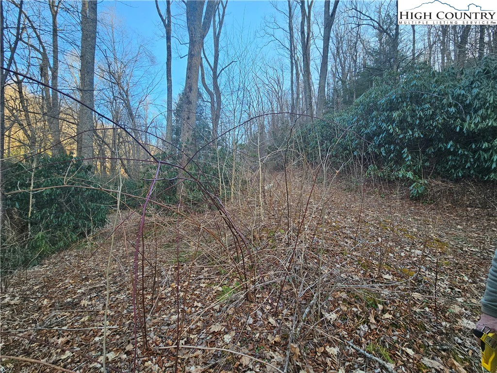 Image number 15 for the current listing