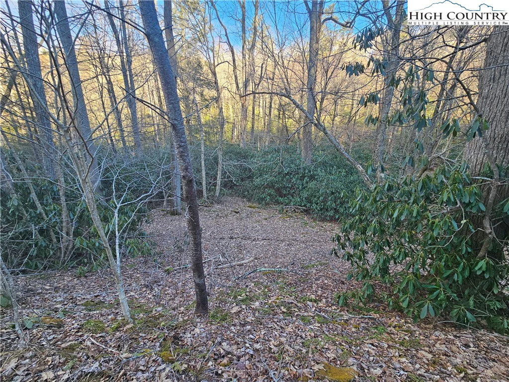 Image number 13 for the current listing
