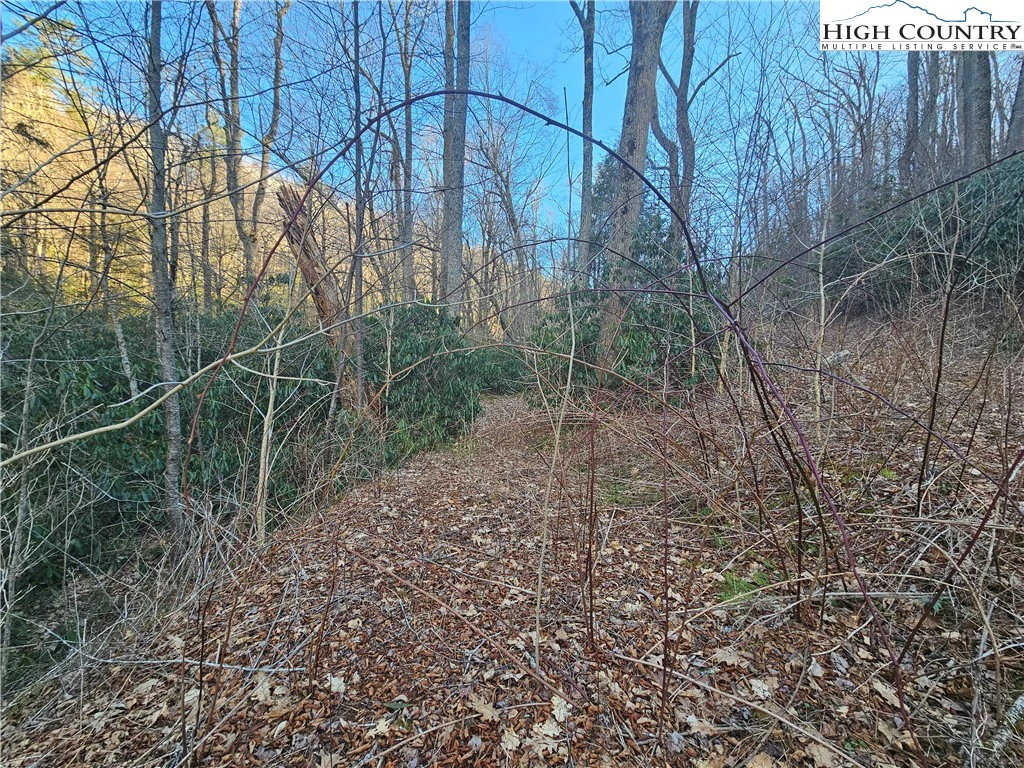 Image number 14 for the current listing