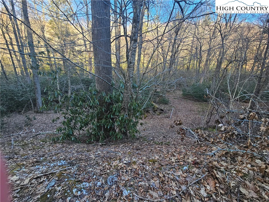 Image number 12 for the current listing