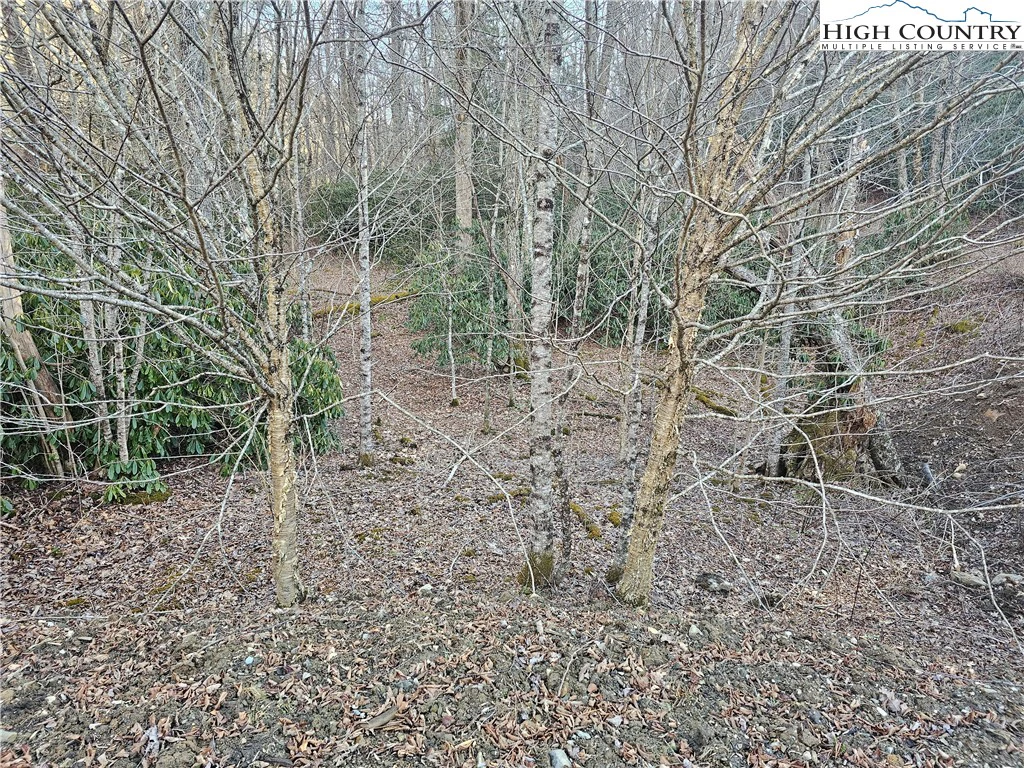 Image number 2 for the current listing