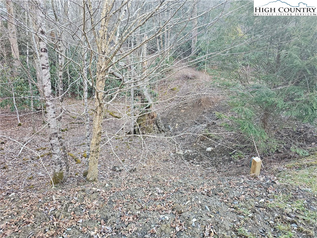 Image number 11 for the current listing