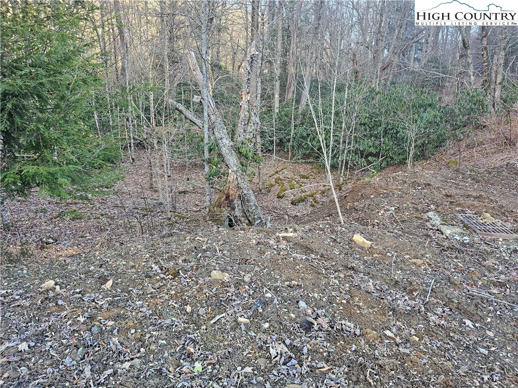 Image number 10 for the current listing