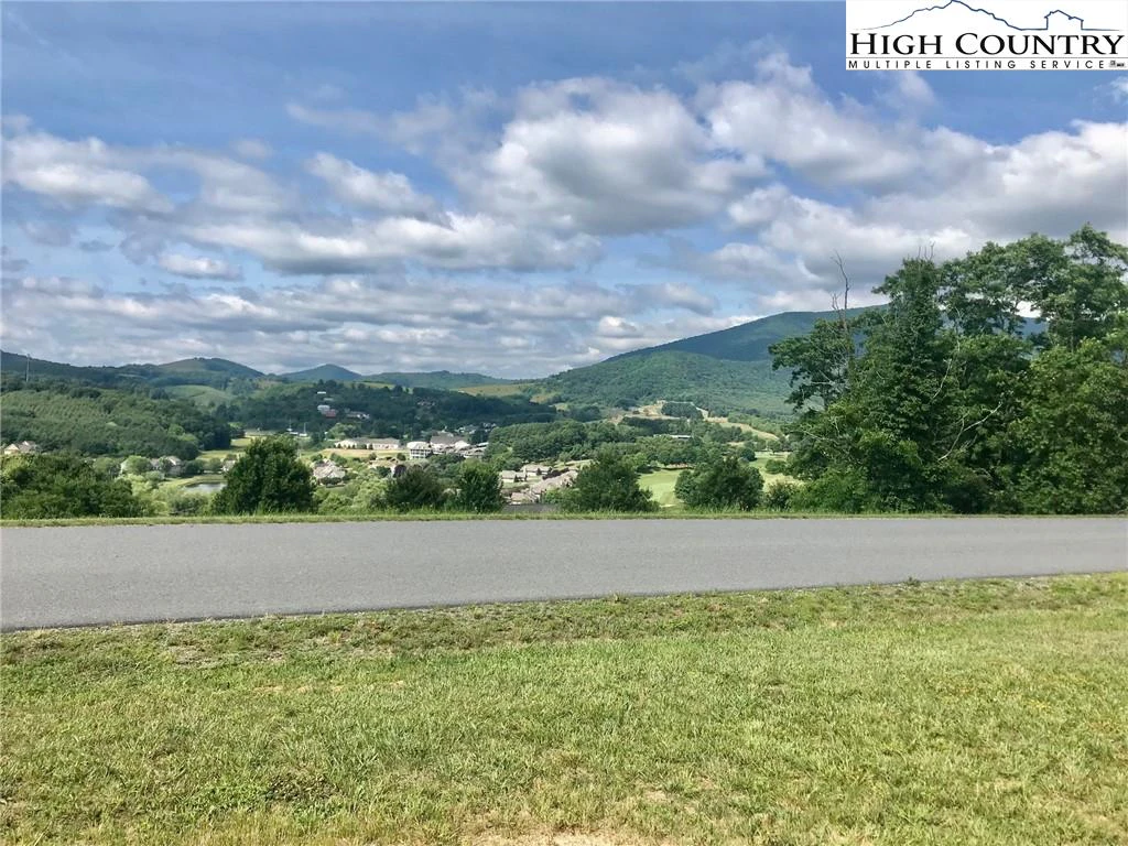 Image number 1 for the current listing