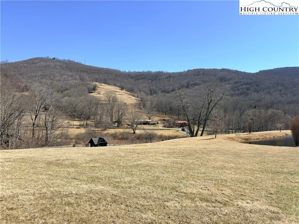 Image number 15 for the current listing