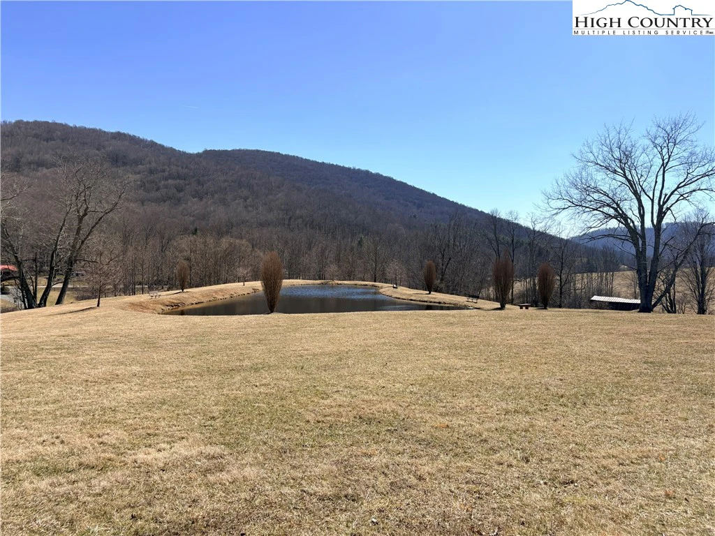 Image number 5 for the current listing