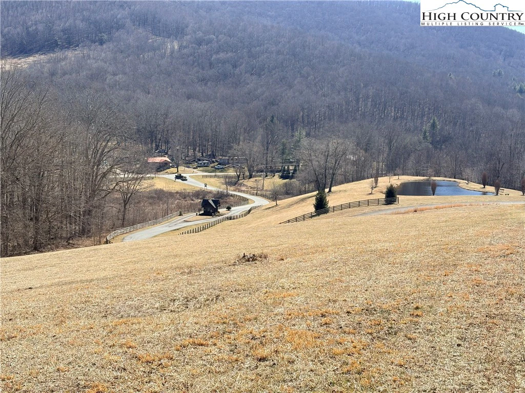 Image number 3 for the current listing