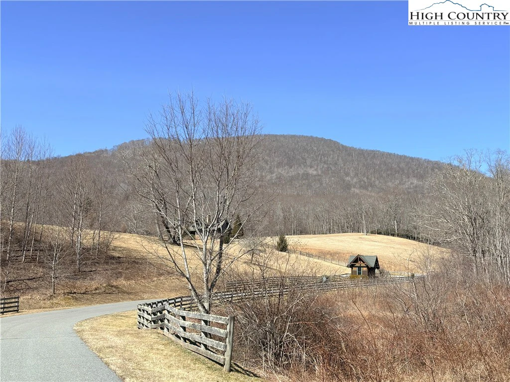 Image number 4 for the current listing