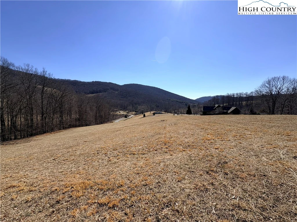 Image number 16 for the current listing