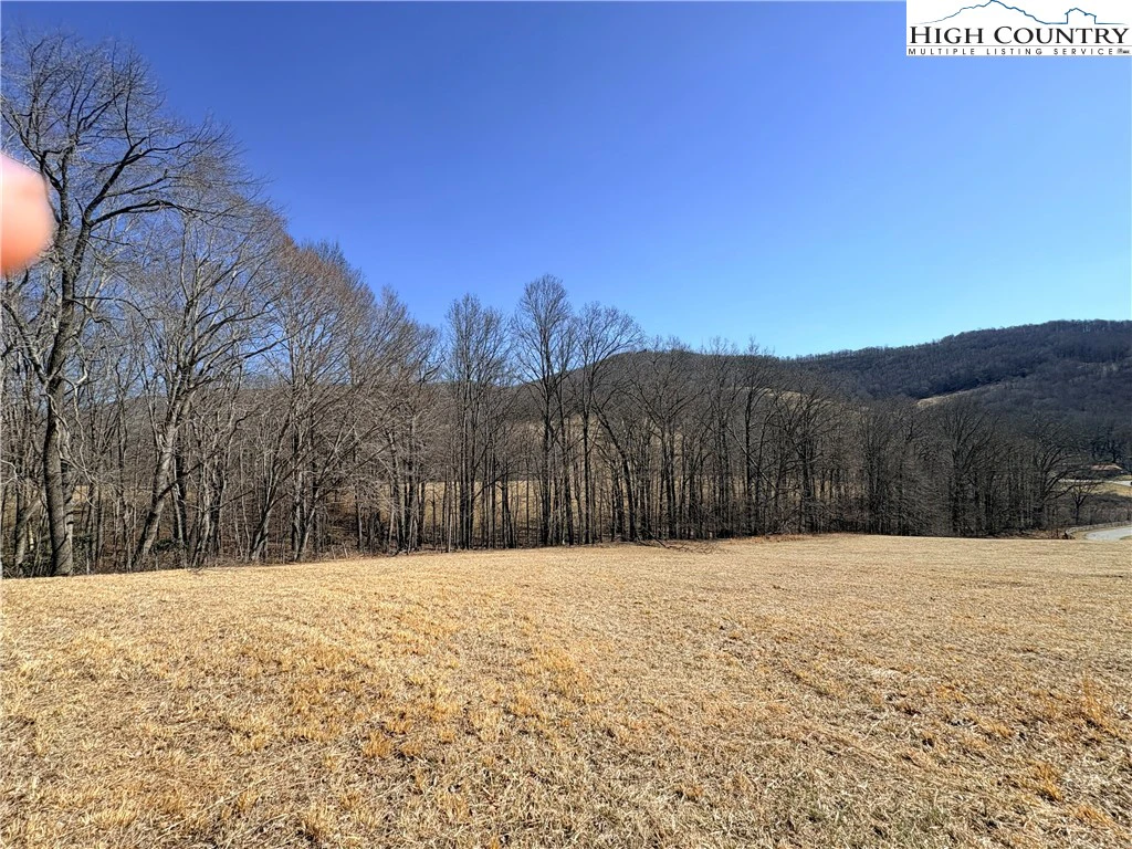 Image number 17 for the current listing