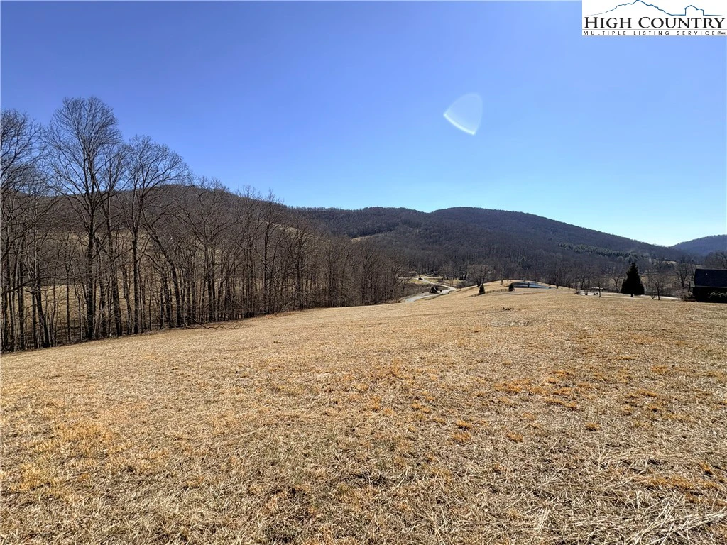 Image number 13 for the current listing