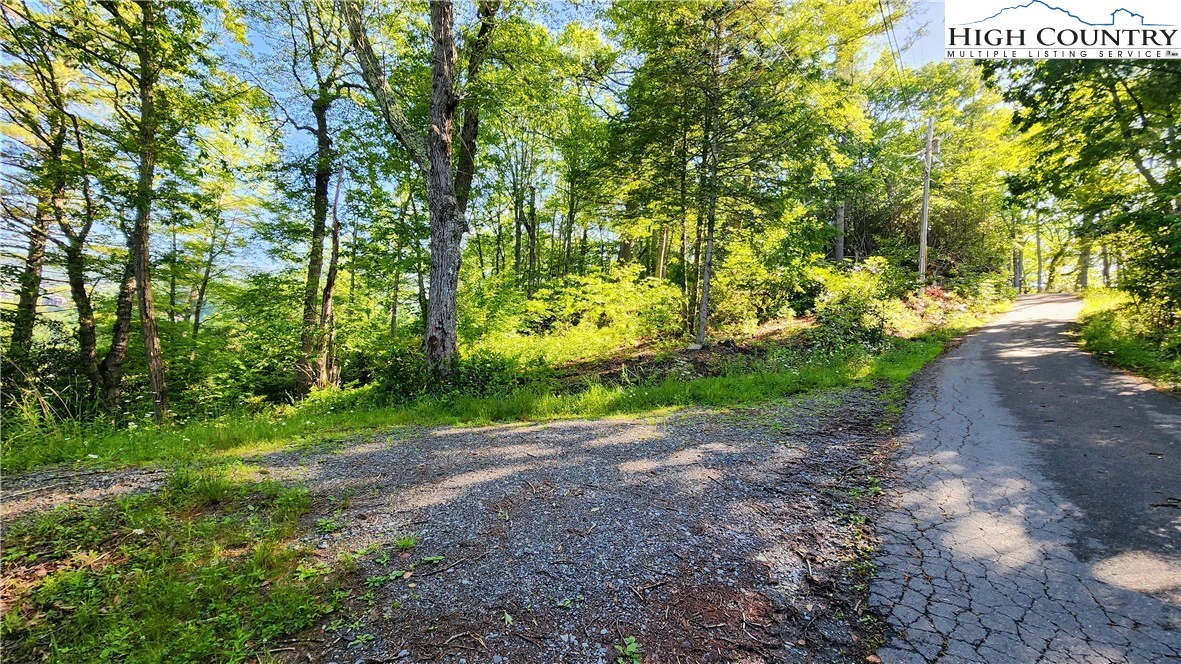 Image number 1 for the current listing