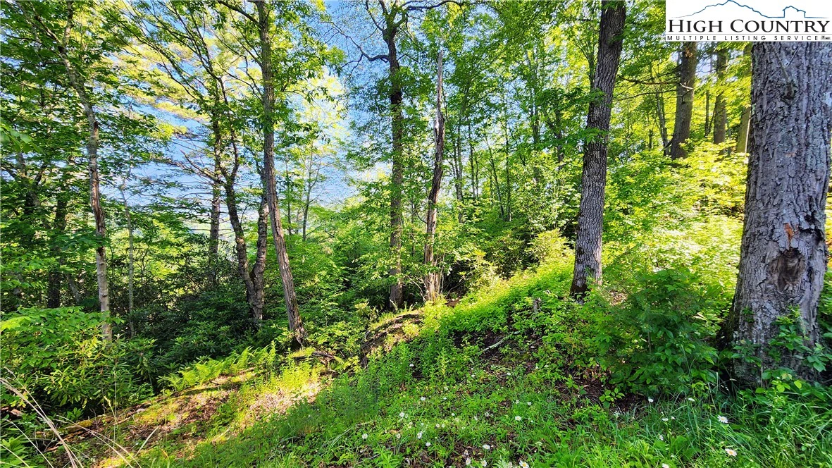 Image number 3 for the current listing