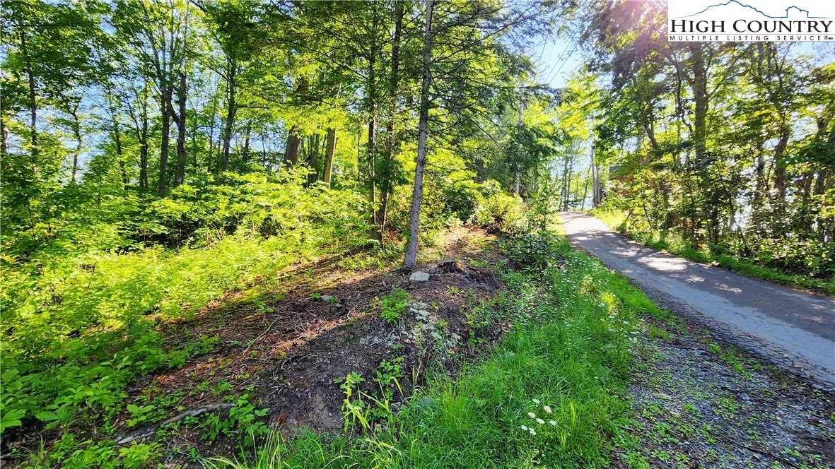 Image number 4 for the current listing
