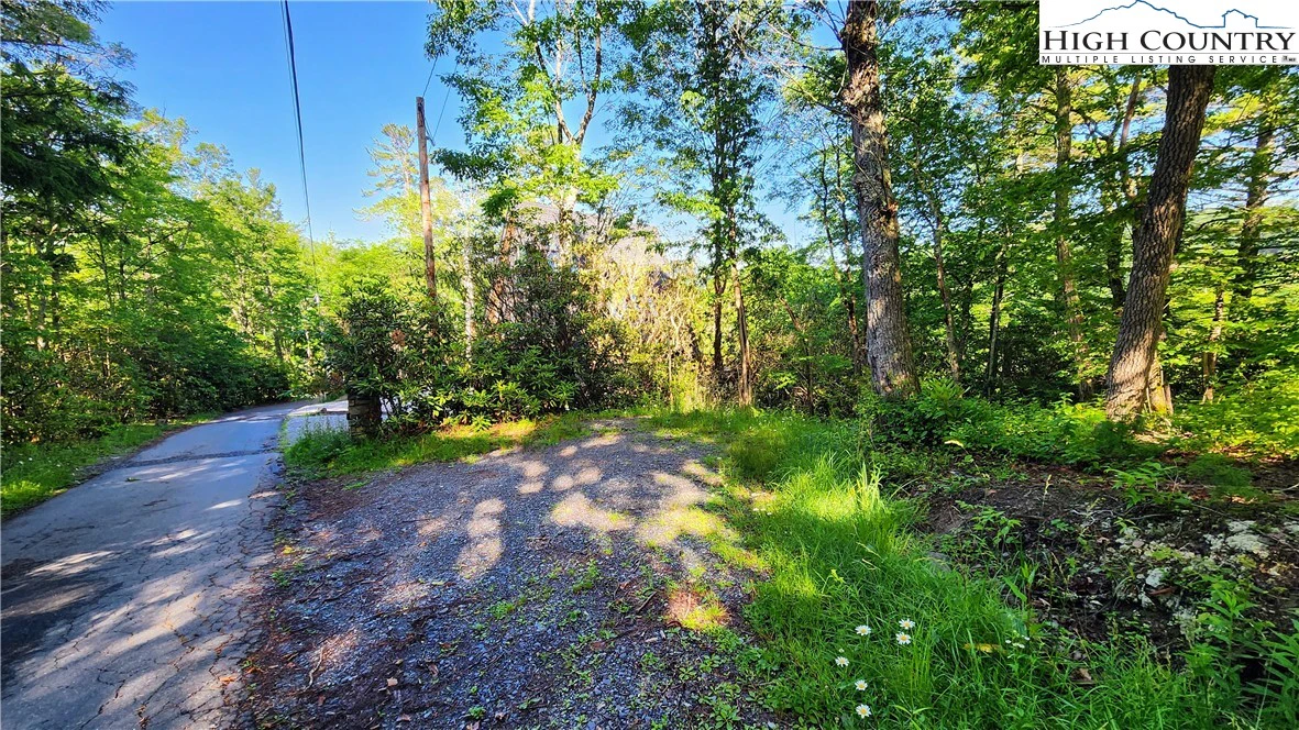 Image number 5 for the current listing