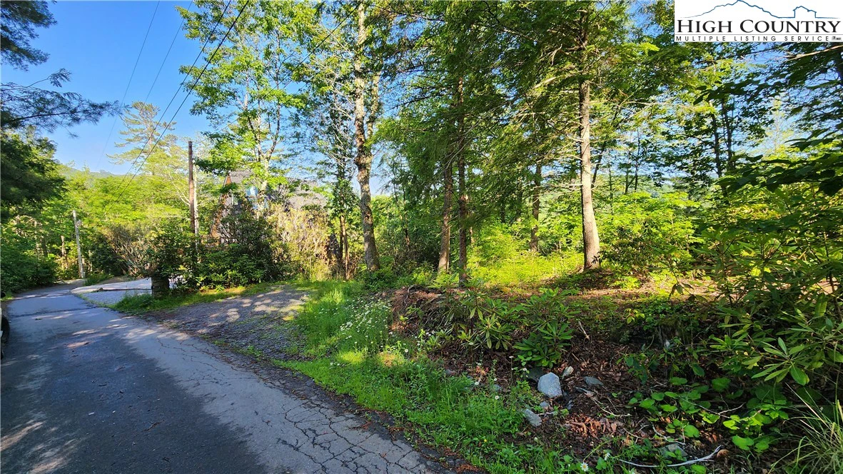 Image number 6 for the current listing