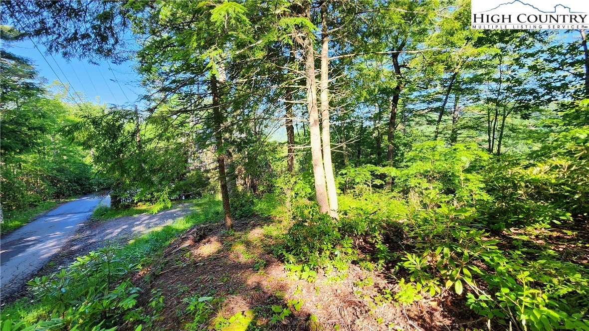 Image number 7 for the current listing