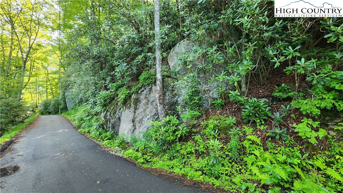 Image number 8 for the current listing