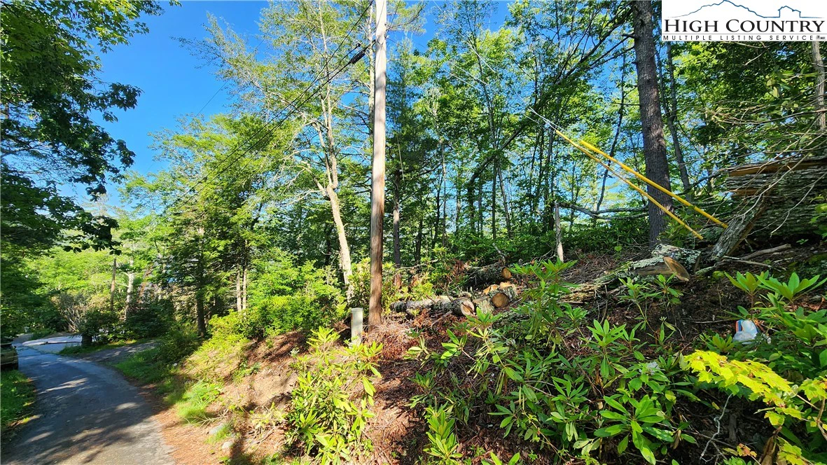 Image number 10 for the current listing