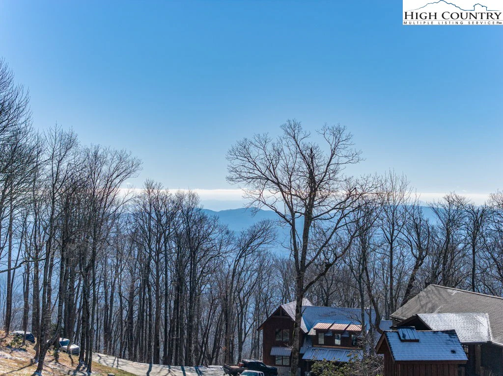 Image number 1 for the current listing