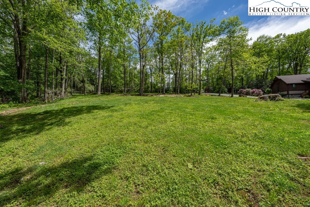 Image number 14 for the current listing