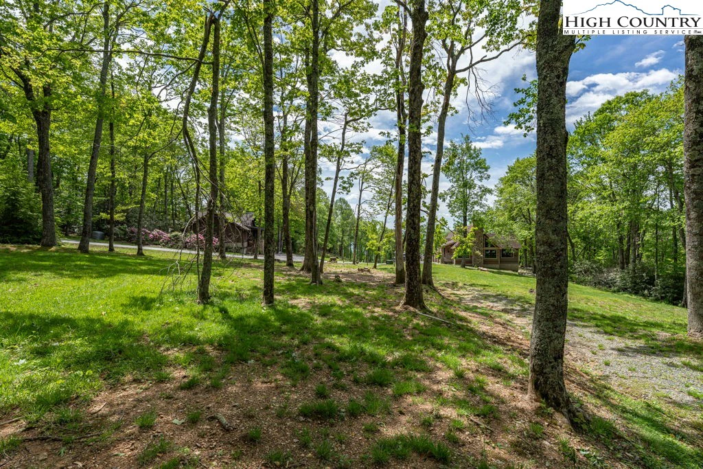 Image number 2 for the current listing