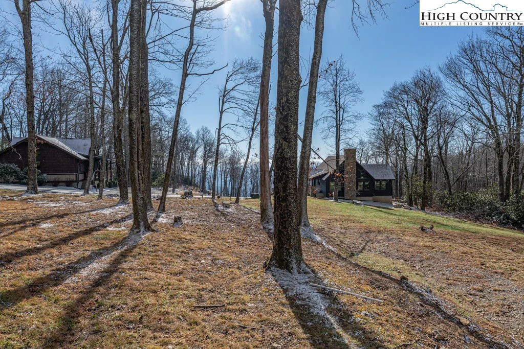 Image number 10 for the current listing