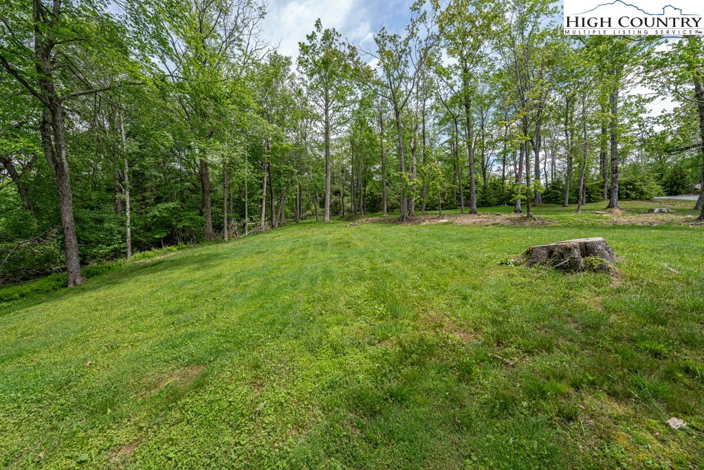Image number 8 for the current listing
