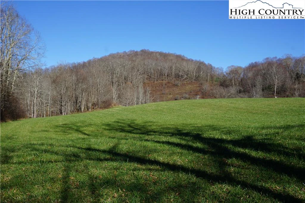 Image number 12 for the current listing