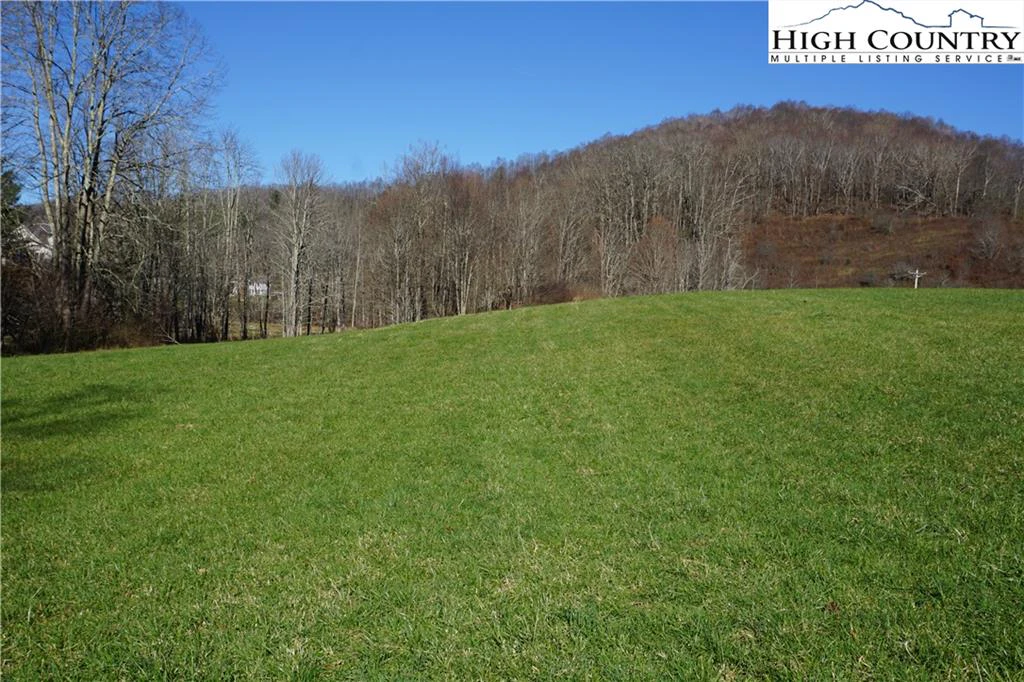 Image number 13 for the current listing