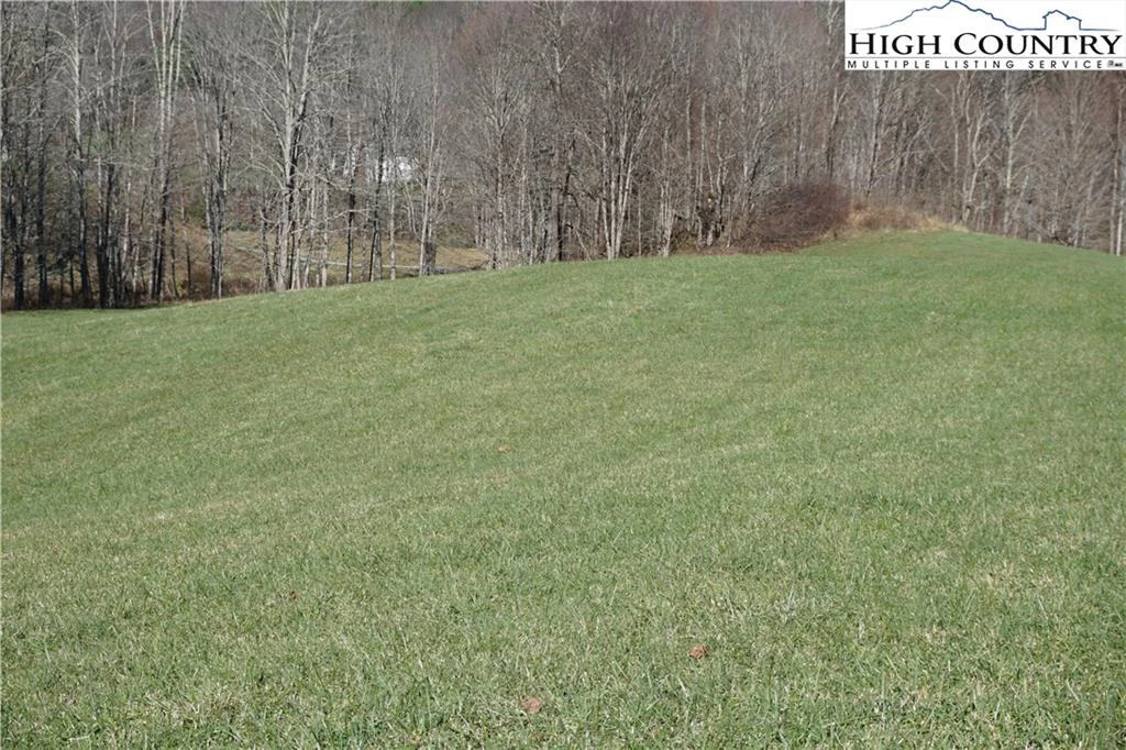 Image number 4 for the current listing