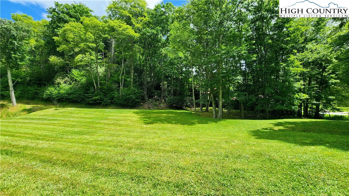 Image number 10 for the current listing